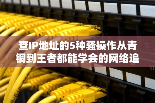 查IP地址的5种骚操作从青铜到王者都能学会的网络追踪术