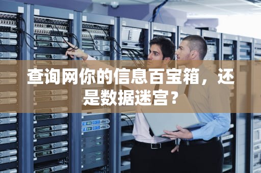 查询网你的信息百宝箱，还是数据迷宫？