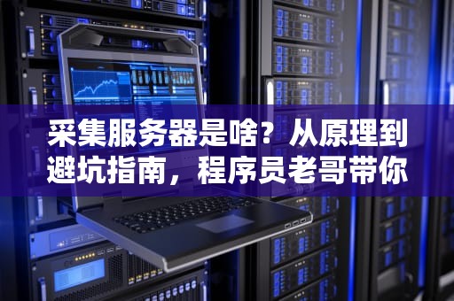 采集服务器是啥？从原理到避坑指南，程序员老哥带你一次搞懂！