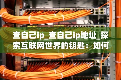 查自己ip_查自己ip地址_探索互联网世界的钥匙：如何查找自己的IP地址