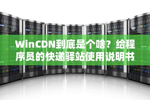 WinCDN到底是个啥？给程序员的快递驿站使用说明书