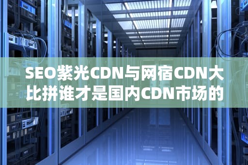 SEO紫光CDN与网宿CDN大比拼谁才是国内CDN市场的高速公路扛把子？