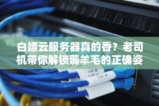 白嫖云服务器真的香？老司机带你解锁薅羊毛的正确姿势（附避坑指南）