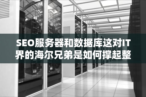 SEO服务器和数据库这对IT界的海尔兄弟是如何撑起整个互联网的？