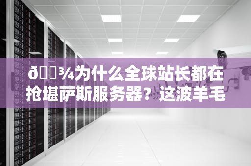 🌾为什么全球站长都在抢堪萨斯服务器？这波羊毛不薅就亏了！🌾