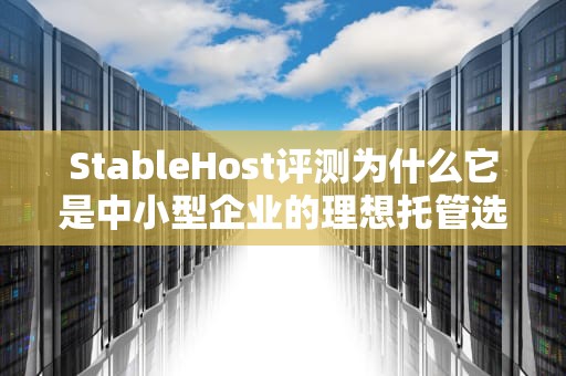 StableHost评测为什么它是中小型企业的理想托管选择？