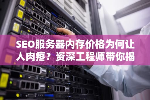 SEO服务器内存价格为何让人肉疼？资深工程师带你揭秘背后的玄学