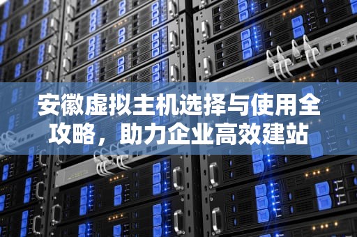 安徽虚拟主机选择与使用全攻略，助力企业高效建站