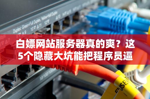 白嫖网站服务器真的爽？这5个隐藏大坑能把程序员逼疯！