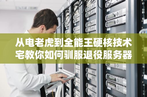 从电老虎到全能王硬核技术宅教你如何驯服退役服务器电源（附保姆级避坑指南）