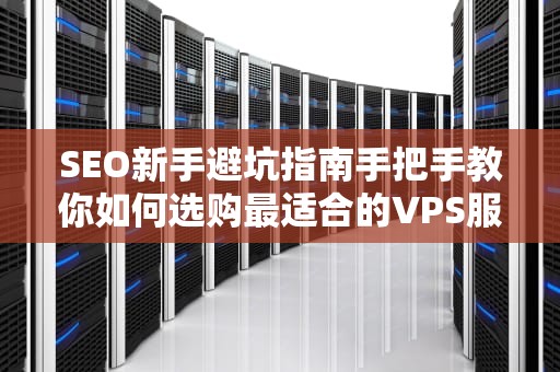 SEO新手避坑指南手把手教你如何选购最适合的VPS服务器（附老司机翻车实录）