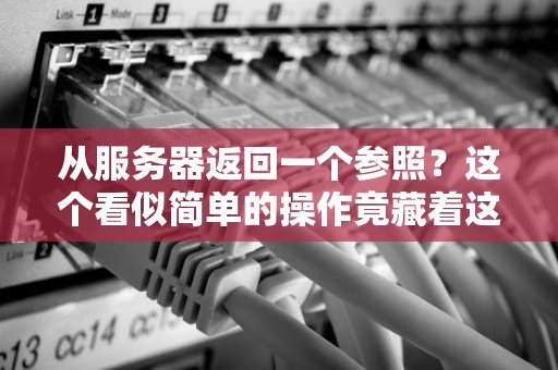从服务器返回一个参照？这个看似简单的操作竟藏着这么多门道！