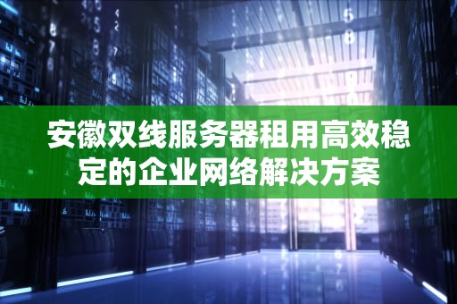 安徽双线服务器租用高效稳定的企业网络解决方案