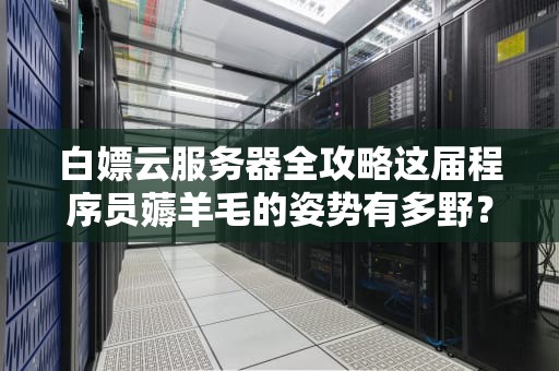 白嫖云服务器全攻略这届程序员薅羊毛的姿势有多野？