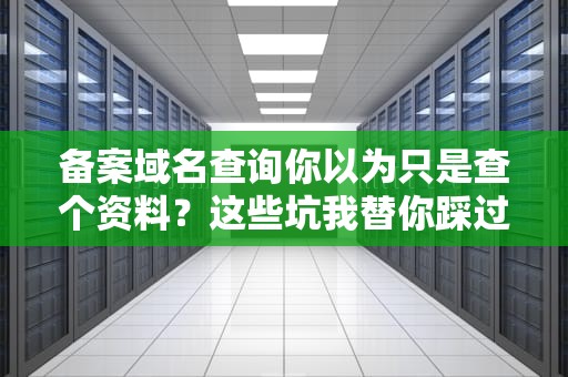 备案域名查询你以为只是查个资料？这些坑我替你踩过了！