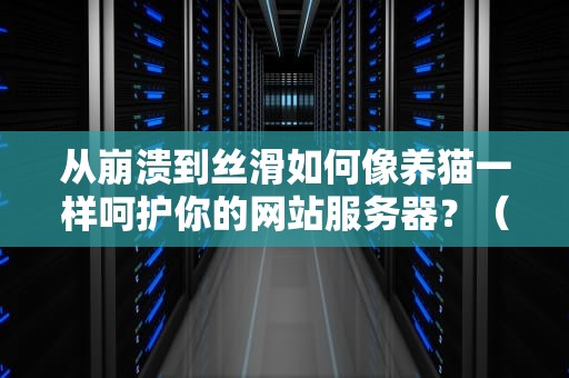 从崩溃到丝滑如何像养猫一样呵护你的网站服务器？（附保姆级避坑指南）