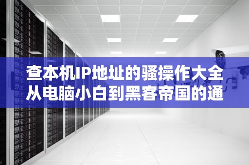 查本机IP地址的骚操作大全从电脑小白到黑客帝国的通关秘籍