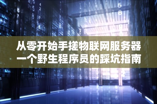 从零开始手搓物联网服务器一个野生程序员的踩坑指南