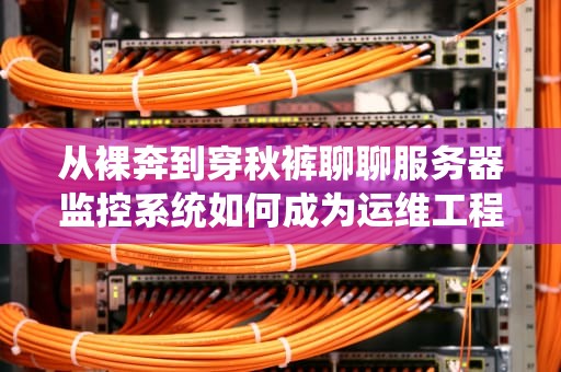 从裸奔到穿秋裤聊聊服务器监控系统如何成为运维工程师的救命稻草