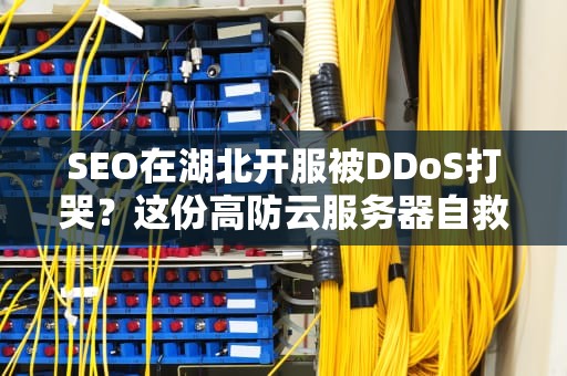 SEO在湖北开服被DDoS打哭？这份高防云服务器自救指南请收好