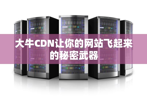 大牛CDN让你的网站飞起来的秘密武器