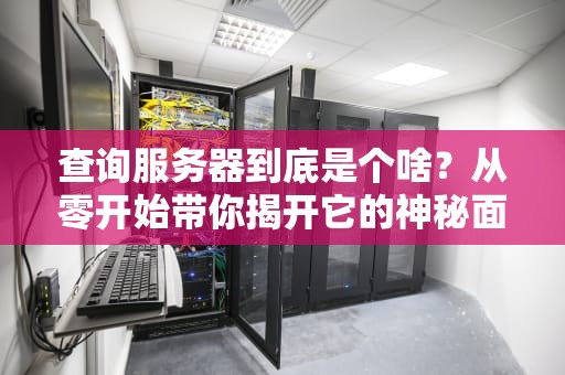 查询服务器到底是个啥？从零开始带你揭开它的神秘面纱！