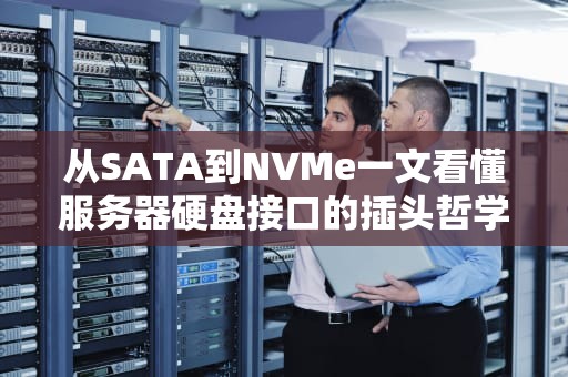 从SATA到NVMe一文看懂服务器硬盘接口的插头哲学，选错小心老板扣鸡腿！