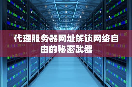 代理服务器网址解锁网络自由的秘密武器