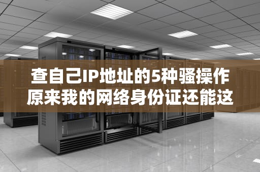 查自己IP地址的5种骚操作原来我的网络身份证还能这么玩？