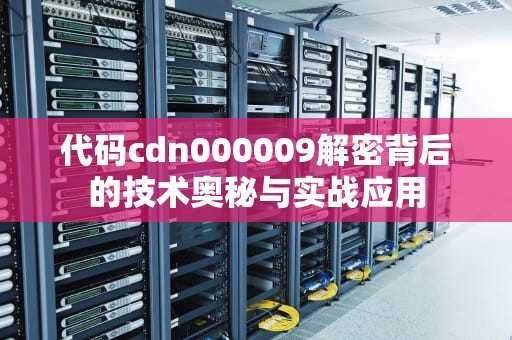 代码cdn000009解密背后的技术奥秘与实战应用
