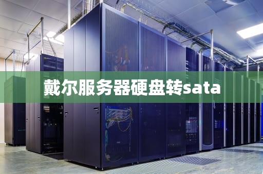 戴尔服务器硬盘转sata