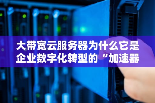 大带宽云服务器为什么它是企业数字化转型的“加速器”？