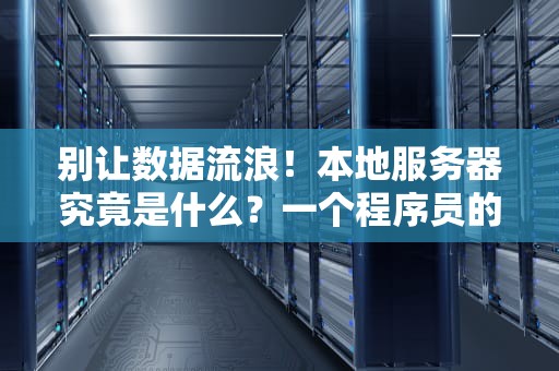 别让数据流浪！本地服务器究竟是什么？一个程序员的硬核科普