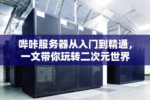哔咔服务器从入门到精通，一文带你玩转二次元世界