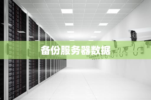 备份服务器数据