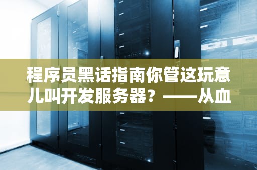 程序员黑话指南你管这玩意儿叫开发服务器？——从血泪史到防秃指南