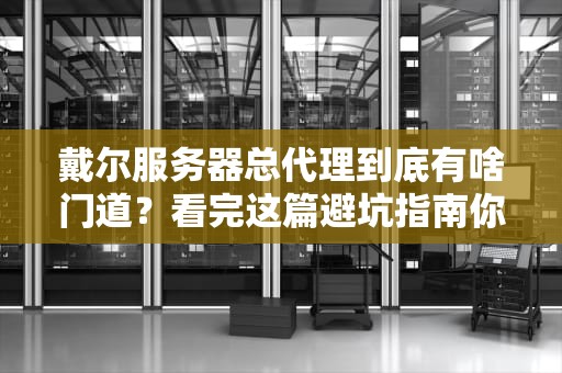 戴尔服务器总代理到底有啥门道？看完这篇避坑指南你也能当老司机！