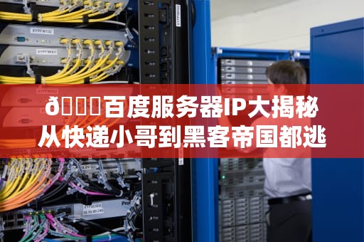 🔍百度服务器IP大揭秘从快递小哥到黑客帝国都逃不过的门牌号🔍