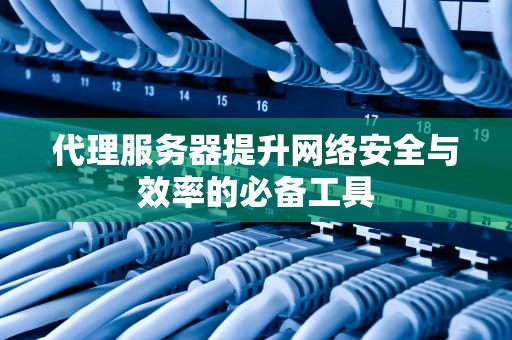 代理服务器提升网络安全与效率的必备工具