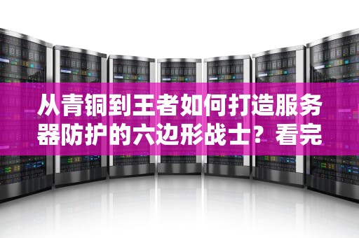 从青铜到王者如何打造服务器防护的六边形战士？看完这篇你就稳了！
