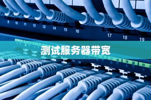 测试服务器带宽