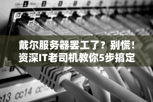 戴尔服务器罢工了？别慌！资深IT老司机教你5步搞定维修电话+自救秘籍