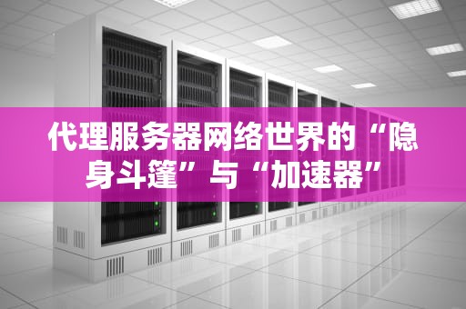 代理服务器网络世界的“隐身斗篷”与“加速器”