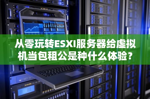 从零玩转ESXI服务器给虚拟机当包租公是种什么体验？