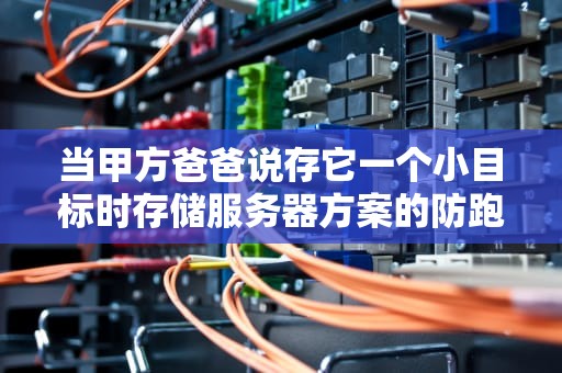 当甲方爸爸说存它一个小目标时存储服务器方案的防跑路指南
