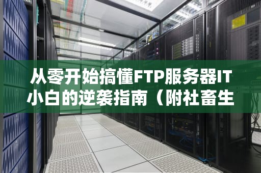 从零开始搞懂FTP服务器IT小白的逆袭指南（附社畜生存秘籍）