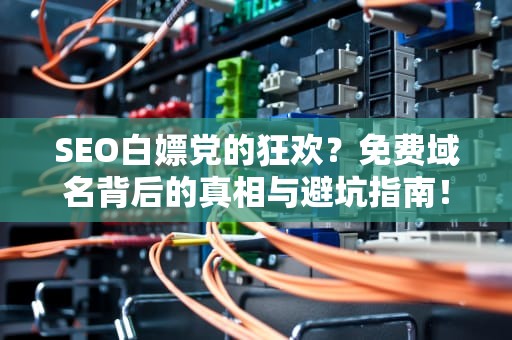 SEO白嫖党的狂欢？免费域名背后的真相与避坑指南！看完这篇再决定要不要上车！