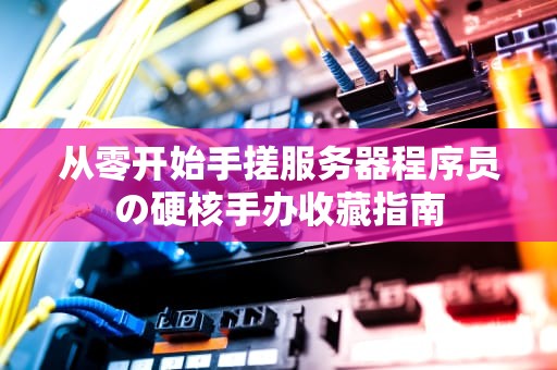 从零开始手搓服务器程序员の硬核手办收藏指南