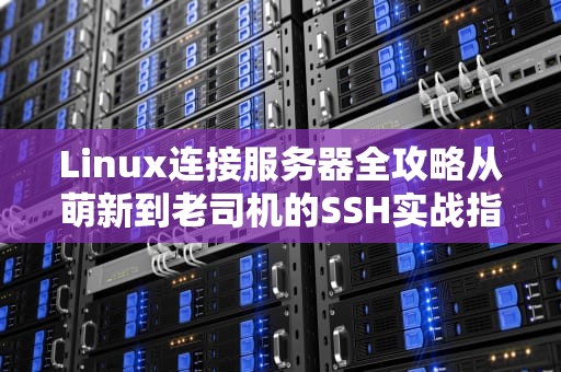 Linux连接服务器全攻略从萌新到老司机的SSH实战指南