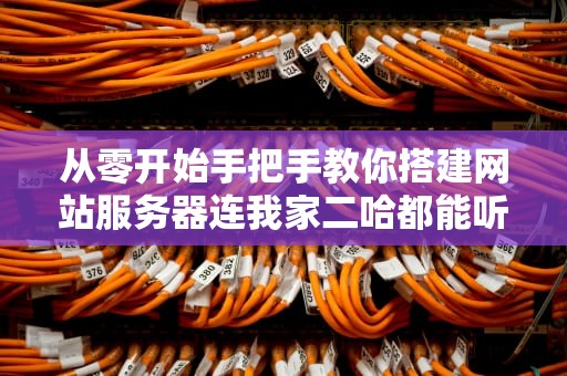 从零开始手把手教你搭建网站服务器连我家二哈都能听懂的技术指南